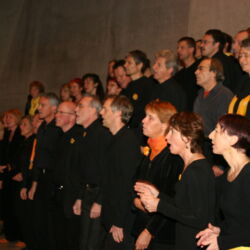 Querbeat 2007