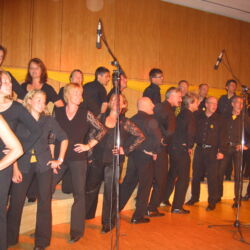 Querbeat 2005