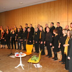 Querbeat 2009